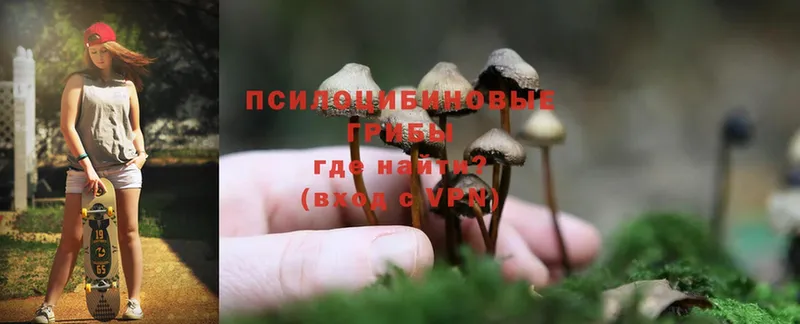 MEGA вход  Шелехов  Псилоцибиновые грибы Magic Shrooms 